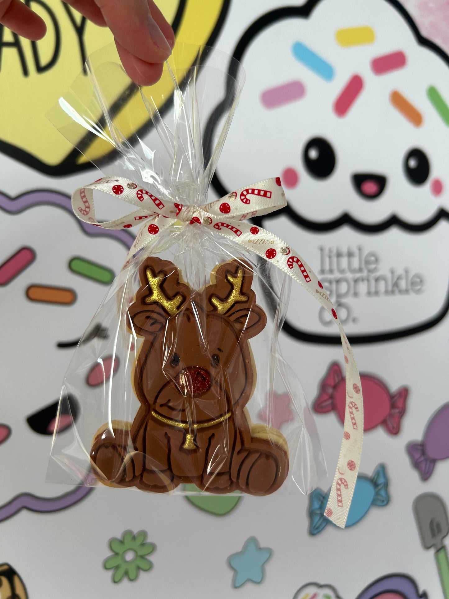 SINGLE COOKIE (24.12.25)