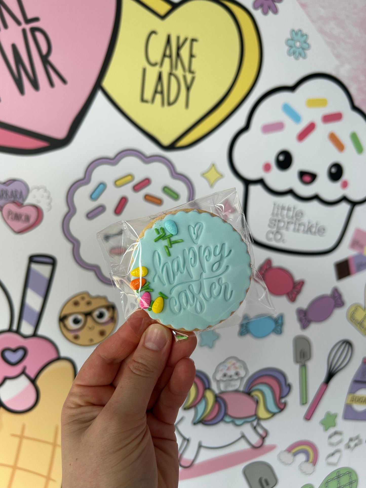 10 pack round cookie (3/4th April)