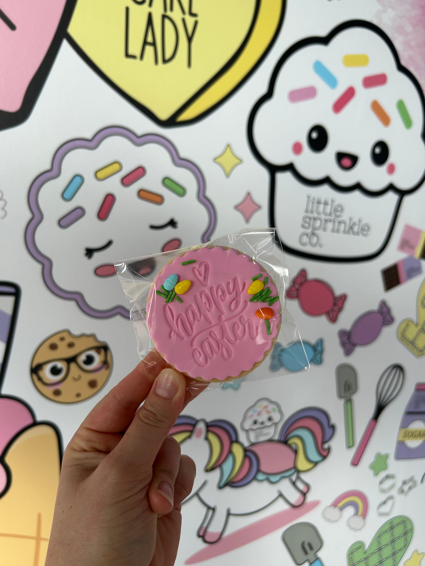 10 pack round cookie (3/4th April)